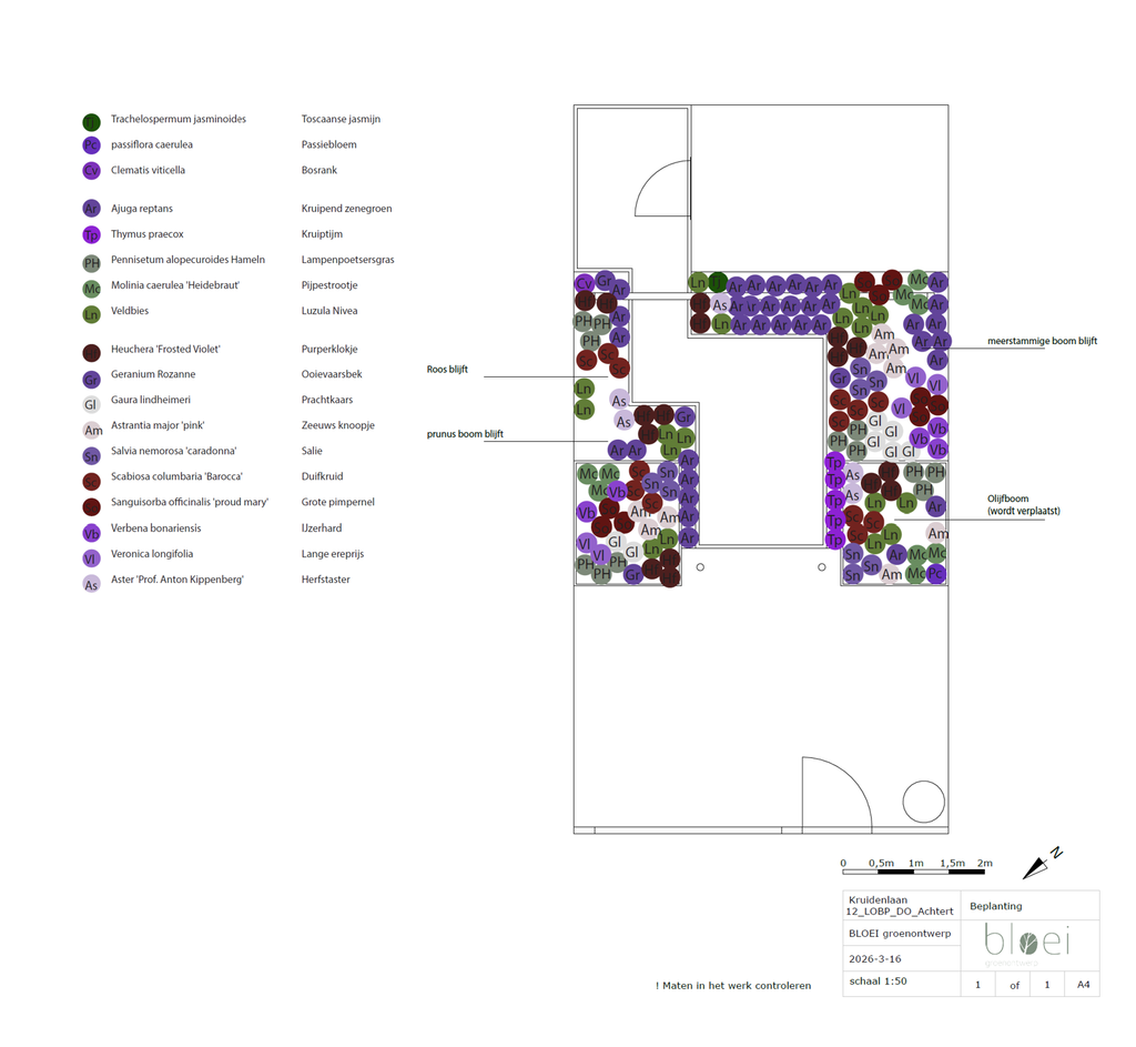 Beplantingsplan voor een biodiverse stadstuin