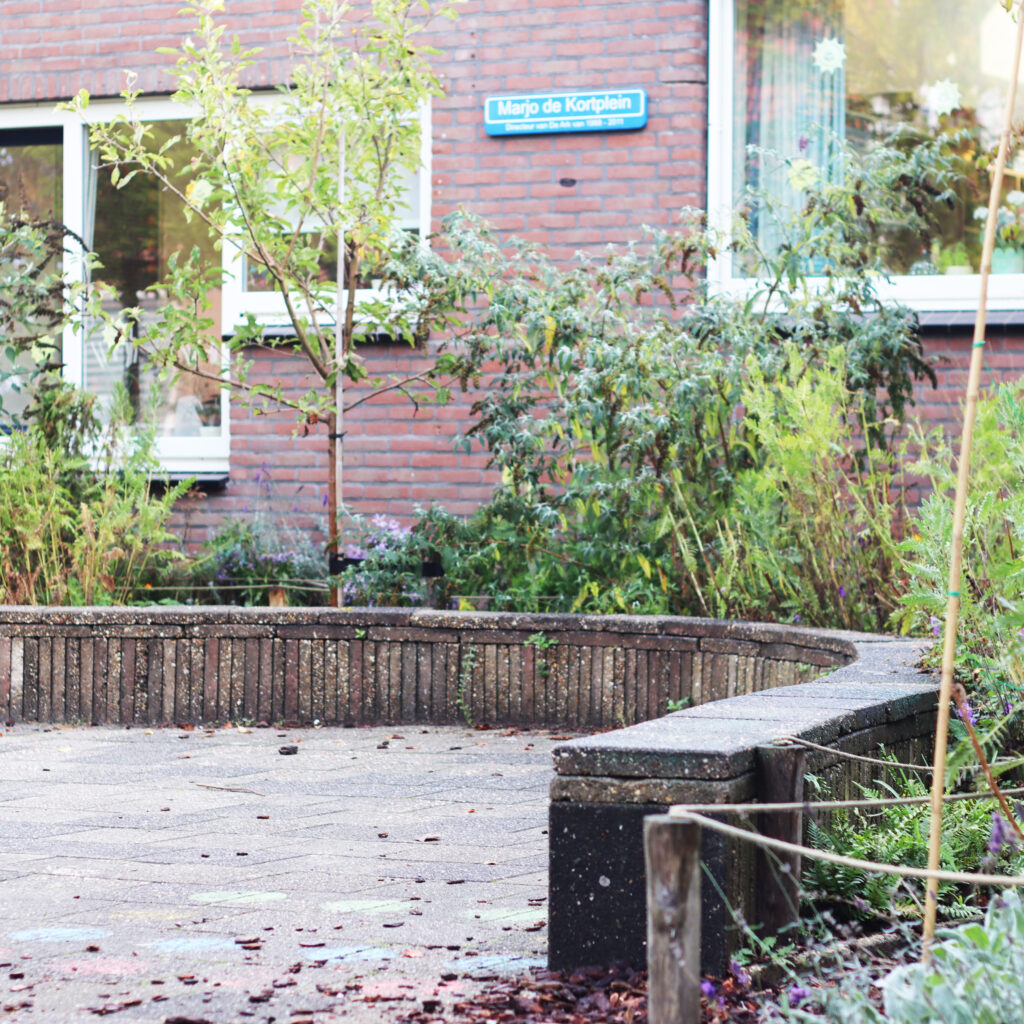 Een groen schoolplein waar kinderen kunnen spelen, ontdekken, ontspannen en leren