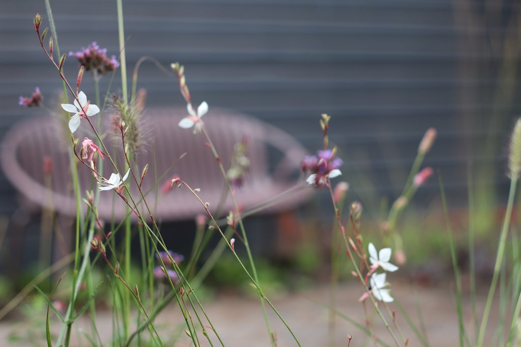 weelderige beplanting