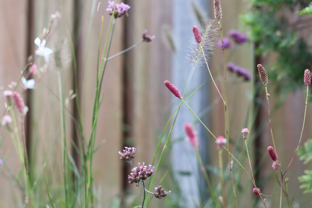 weelderige beplanting