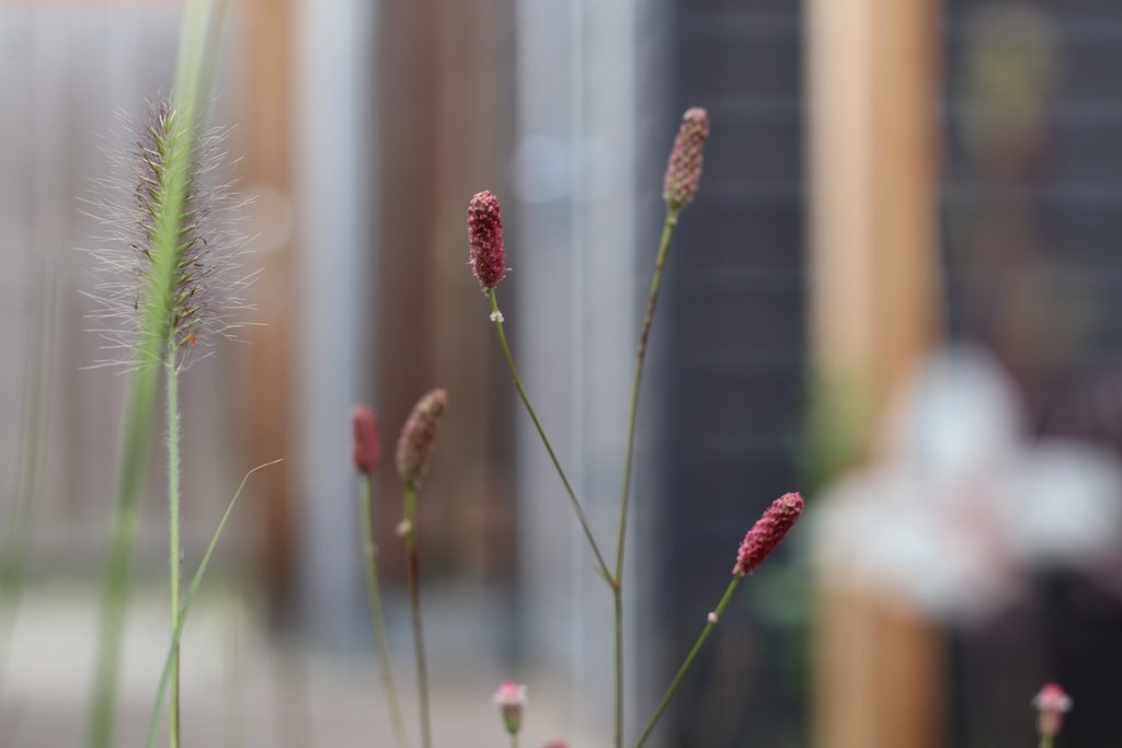 charmante bloemen